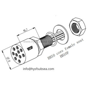 10 Pin Female Bulkhead Connector