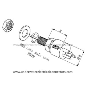 2 Pin Male Bulkhead
