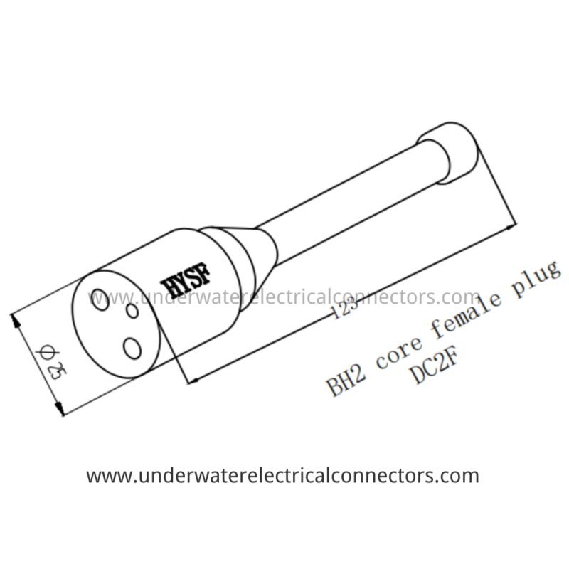 HYSF DC2F Standard 2-Pin Female Dummy Plug Underwater Connector
