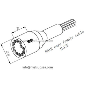 12 Pin Female Inline Connector