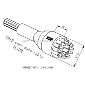 12 Pin Male Inline Connector