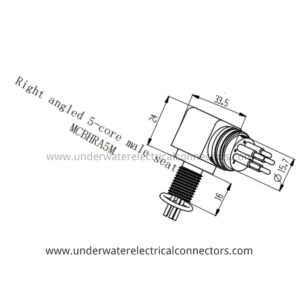 5-Pin male bulkhead