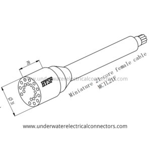 21 Pin Female Inline Connector