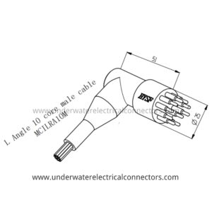 10 Pin Male Inline