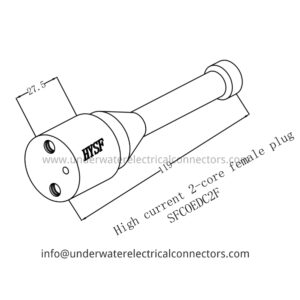 High Current 2 Core Female Dummy Plug
